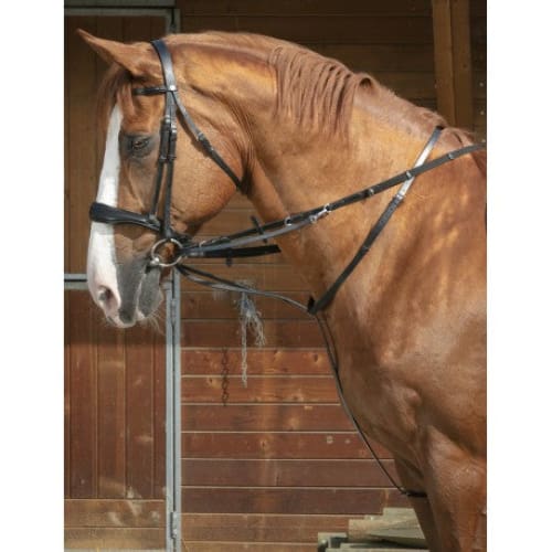 Boomerang Equestrian - Norton Pro Thiedeman Draw Reins