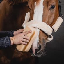  One Equestrian Horse Care Sponge With Grip - ONESIZE - Sponge