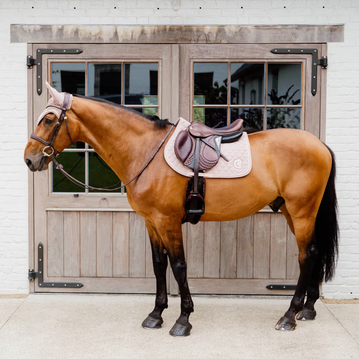 Brown horse with a saddle in front of wooden doors