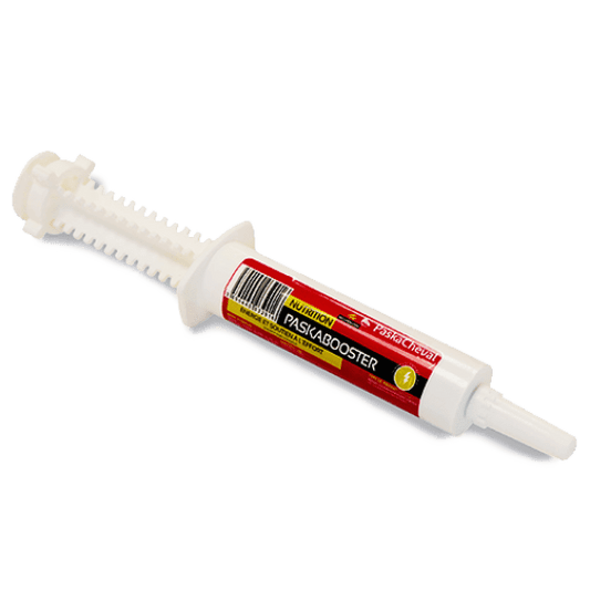 Boomerang Equestrian - Paskacheval Paskabooster Syringe