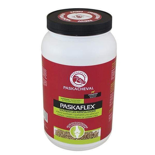 Boomerang Equestrian - Paskacheval Paskaflex