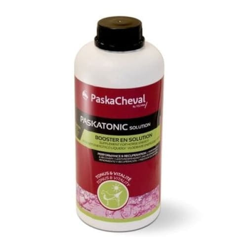 Boomerang Equestrian - Paskacheval Paskatonic