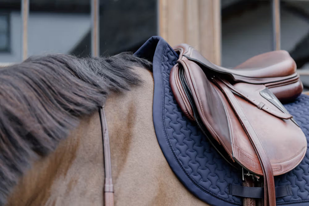 Horse with a brown saddle and blue pad on a wooden stable background