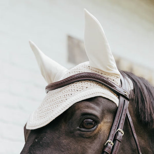 Horse wearing a beige ear bonnet with a blurred background