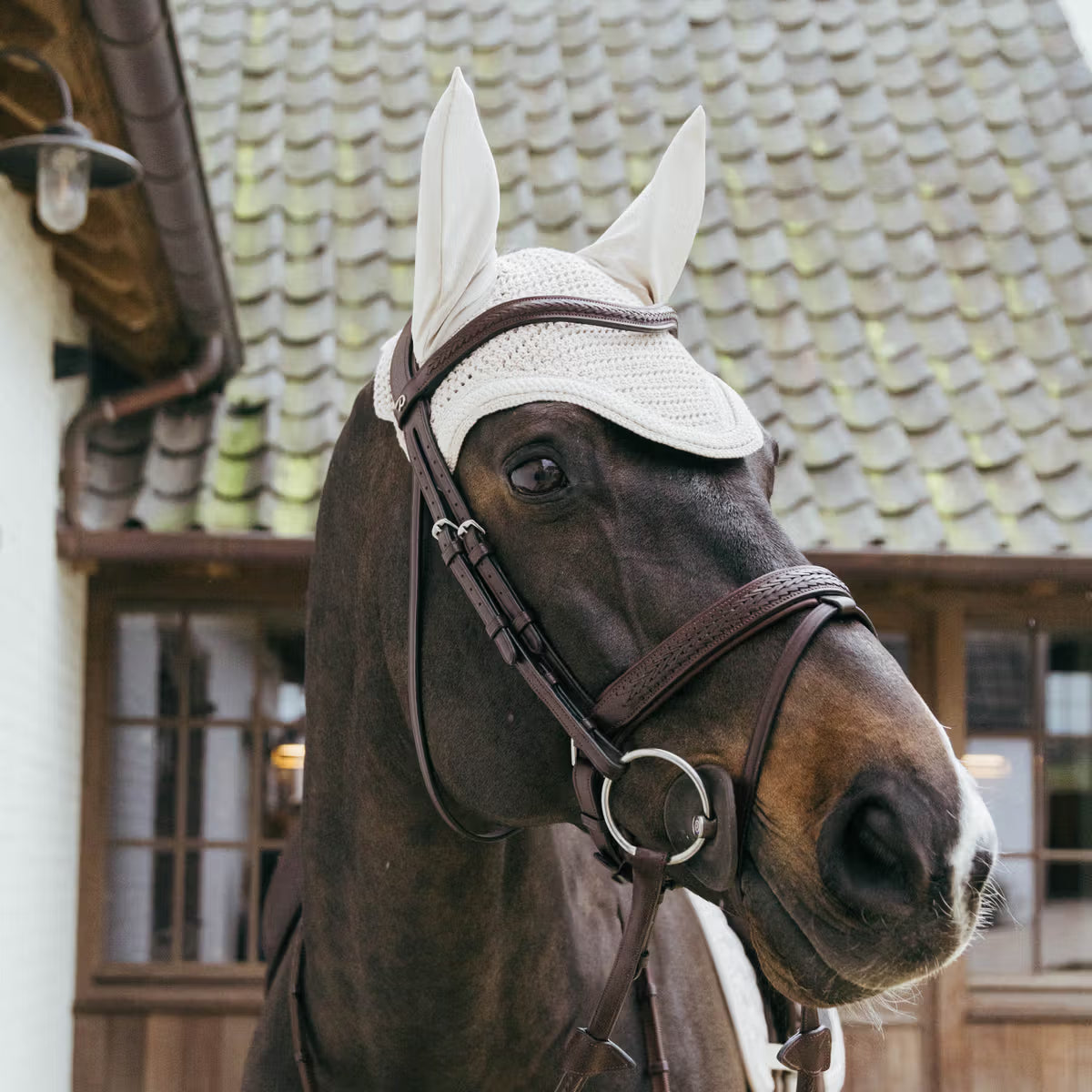 Horse wearing a bridle and fly mask in front of a building with a tiled roof.