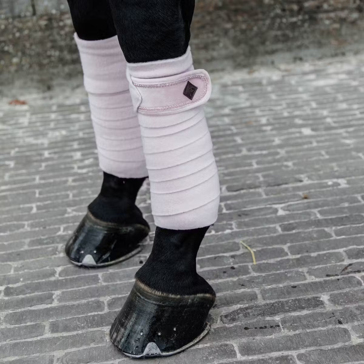 Horse legs wearing protective leg wraps on a brick pavement