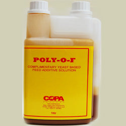 Boomerang Equestrian - Copa Poly O-F