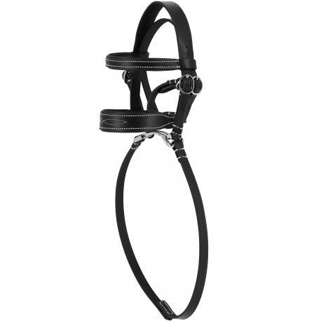 Black leather bridle on a white background