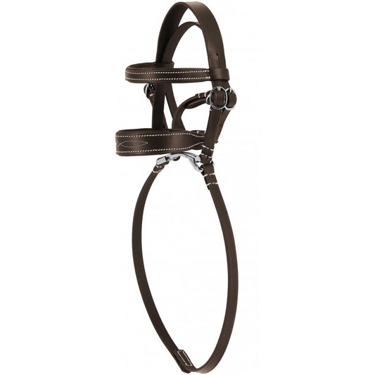 Brown leather bridle on a white background