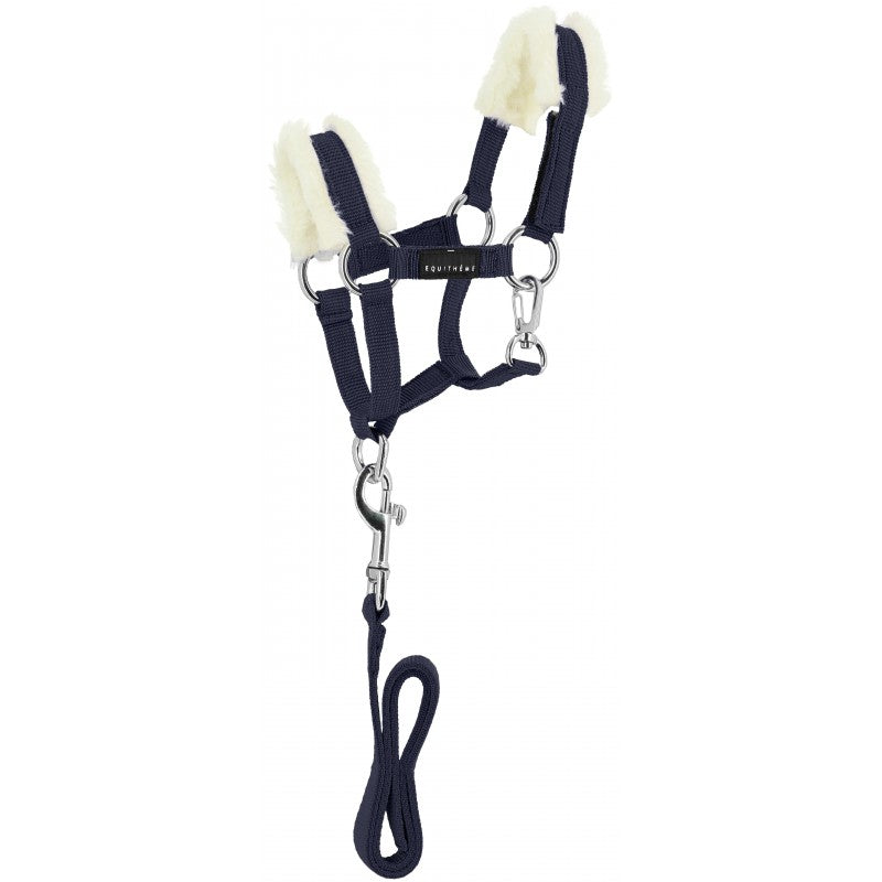Navy horse bridle with white fleece padding on a white background
