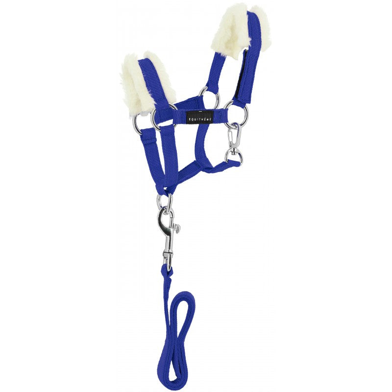 Blue horse halter with white fleece padding and a lead rope on a white background
