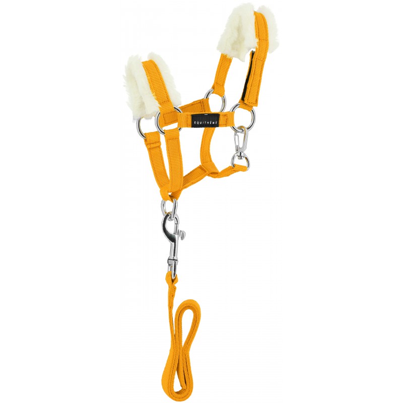 Yellow horse halter with white padding and a lead rope on a white background
