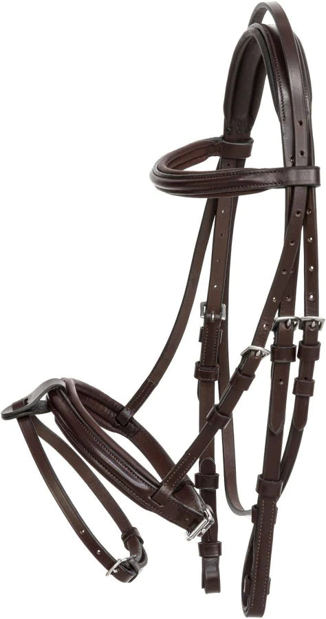 Brown bridle on a white background