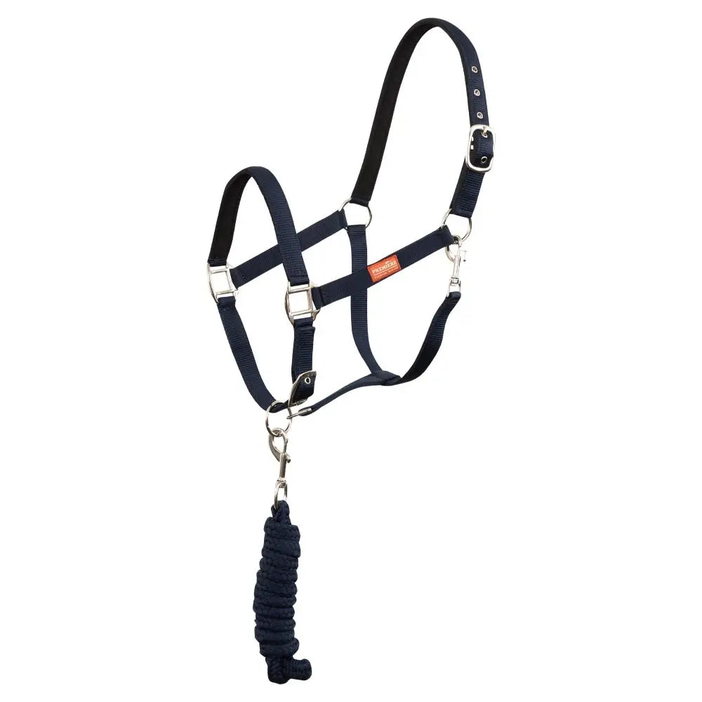 Navy blue horse halter with a rope lead on a white background