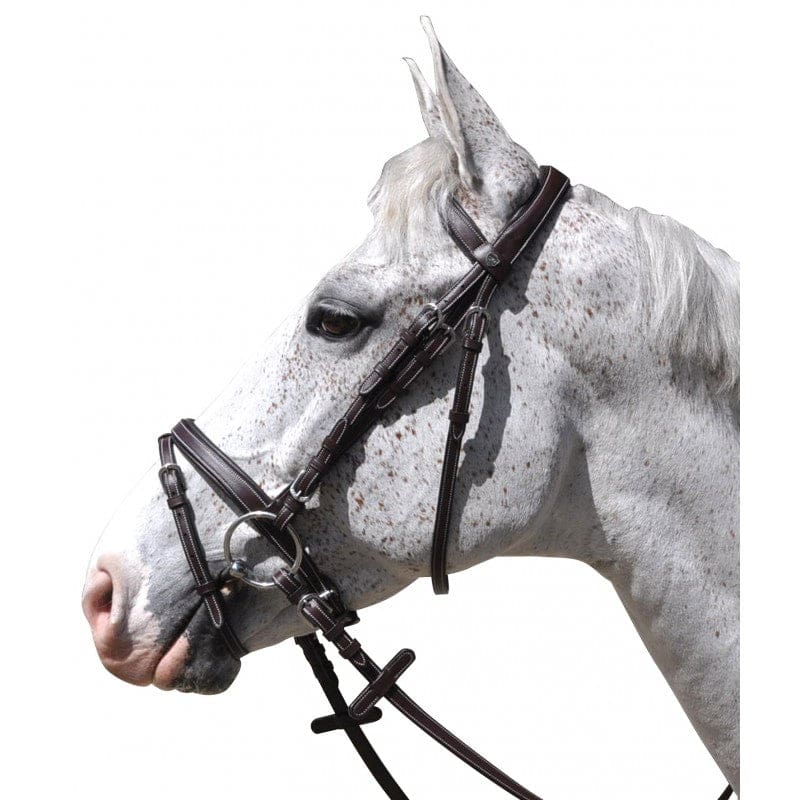 Privilege Equestrian Flags & Cups Goteborg Flash Bridle Brown - Bridle