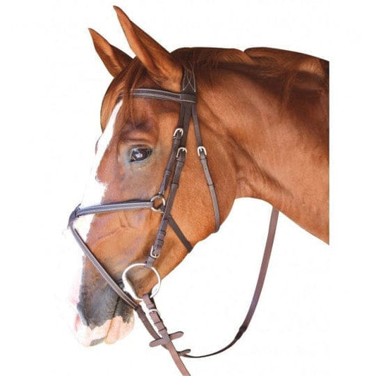 Boomerang Equestrian - Privilege Equitation Cabourg Padded Grackle Noseband Brown