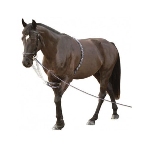 Boomerang Equestrian - Privilege Equitation Canter Training Aid