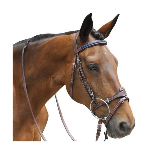 Privilege Equitation Flags & Cup Paris Combine Bridle Havana - Bridle