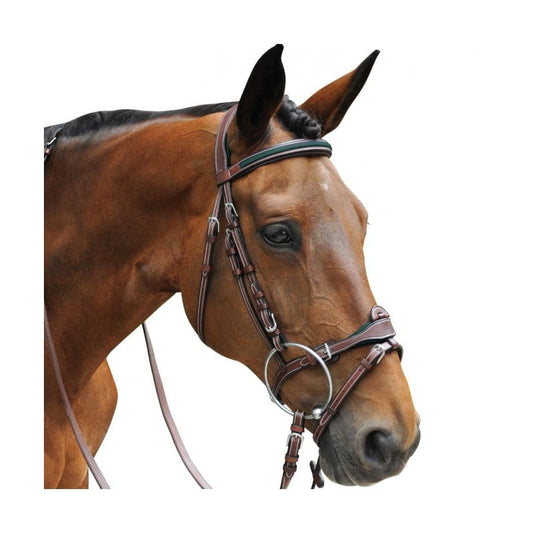 Boomerang Equestrian - Privilege Equitation Flags & Cups Paris Combine Bridle Brown/Green