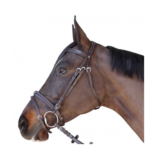 Boomerang Equestrian - Privilege Equitation Chetak Flat & Padded Bridle Black