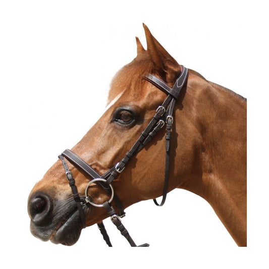 Boomerang Equestrian - Privilege Equitation Grandville Flash Bridle