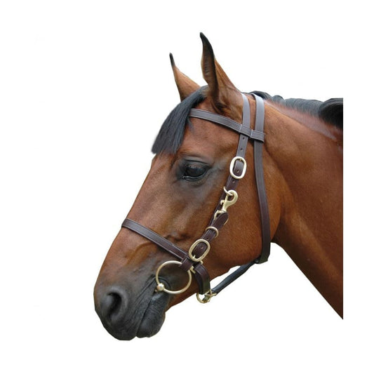Boomerang Equestrian - Privilege Equitation Large Halter Bridle Brown