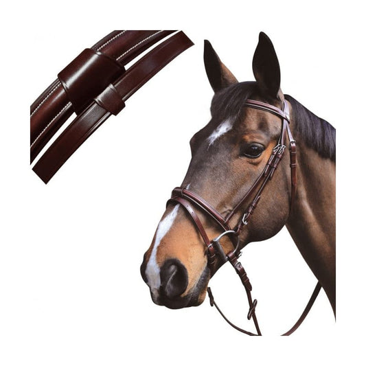 Boomerang Equestrian - Privilege Equitation Lexington Austin Flash Bridle Black
