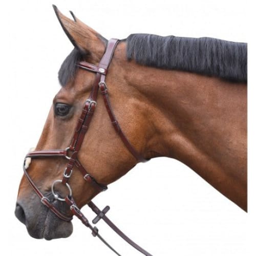 Boomerang Equestrian - Privilege Equitation Lexington Austin Grackle Bridle Redwood