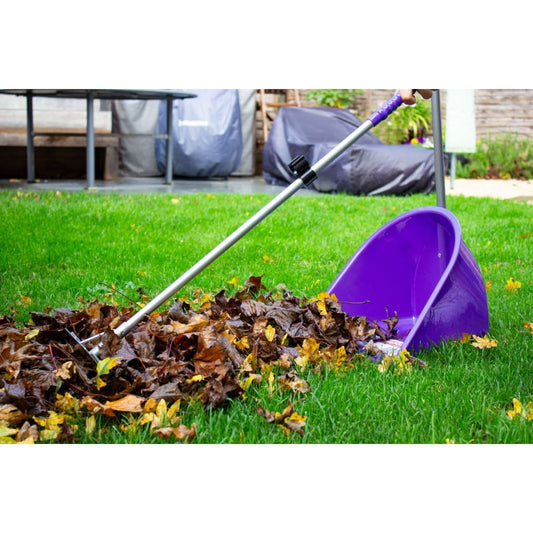 Boomerang Equestrian - Red Gorilla Tidee & Rake Assorted Colours