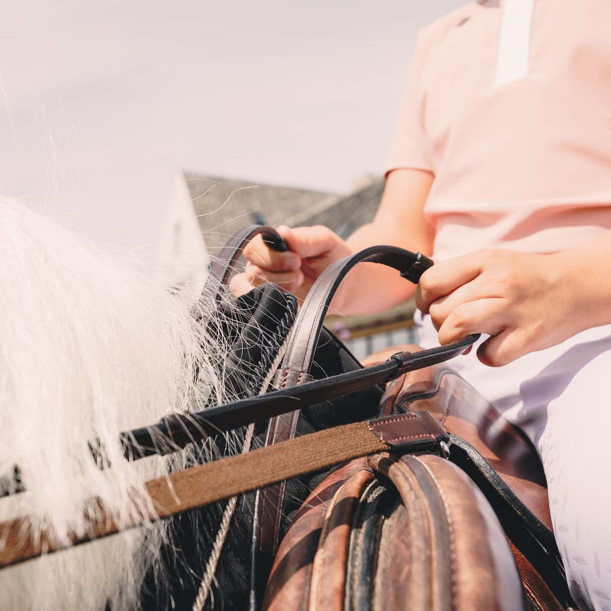 Person holding reins on a horse with a blurred background