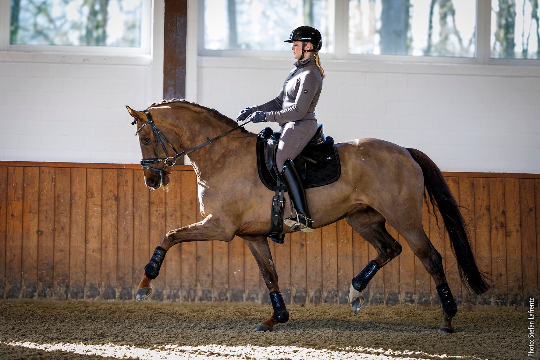 Woman on a bay horse in a dressage saddle in an indoor arena wearing a chocolate jacket and matching breeches.
