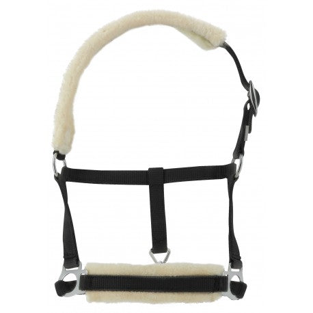 Horse halter with black straps and beige padding on a white background