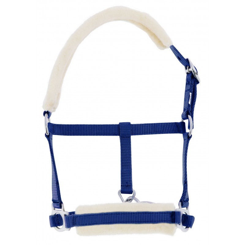 Blue horse halter with white padding on a white background