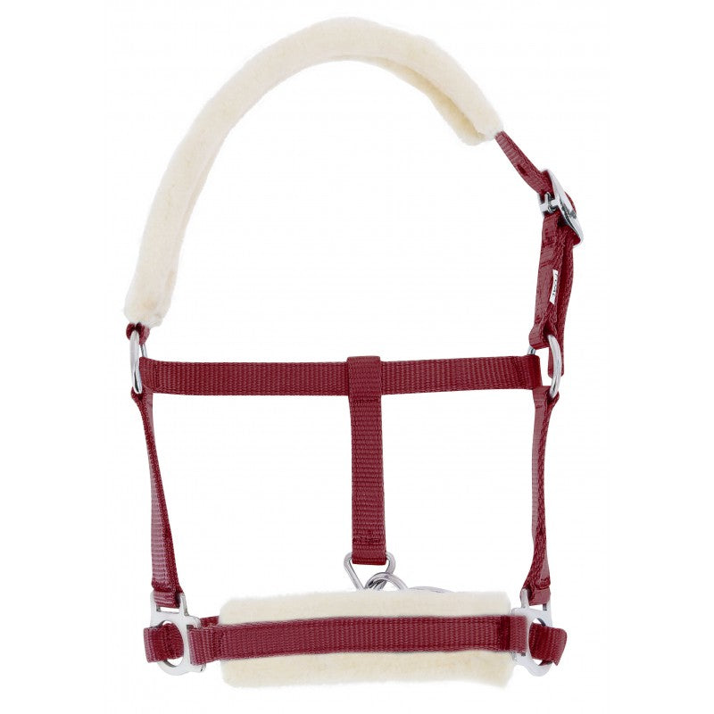 Horse halter with red straps and white padding on a white background