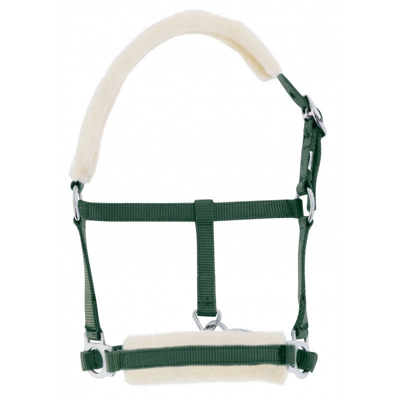Green horse halter with white padding on a white background