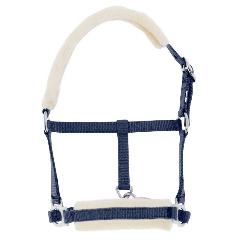 Navy blue horse halter with white padding on a white background