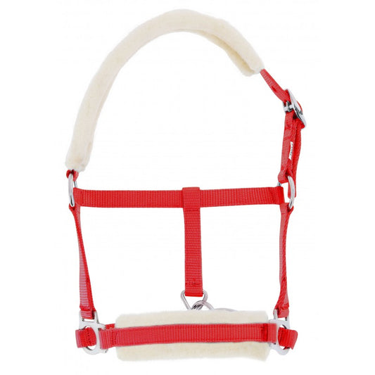 Red horse halter with white padding on a white background