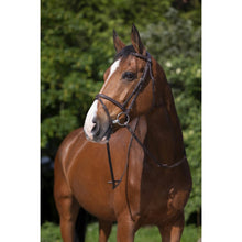  Riding World Bridle Brown