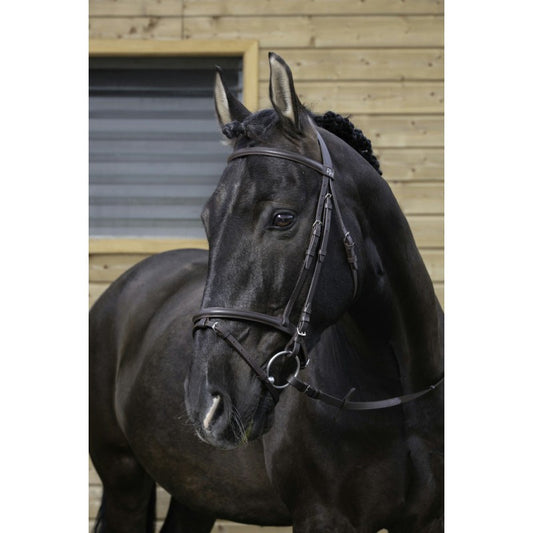 Boomerang Equestrian - Riding World Bridle Black