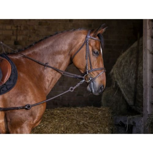 Boomerang Equestrian - Riding World Pirelli Side Reins Brown