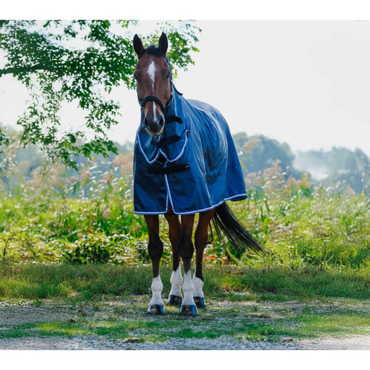 Horse wearing a blue rug standing in a grassy field with trees in the background