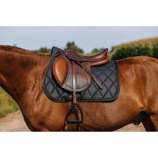 Brown horse with a black quilted saddle pad and brown leather saddle.