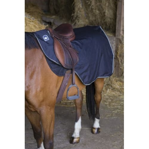 Boomerang Equestrian - Riding World Waterproof Exercise Sheet Black