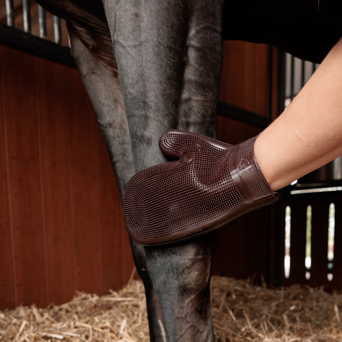 Person wearing a brown leather glove on a horse's leg in an indoor setting.