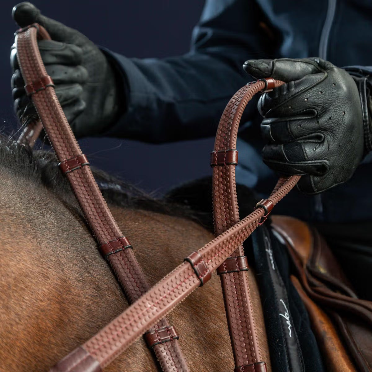 Person wearing black gloves holding a brown leather bridle over a horse's head against a dark background