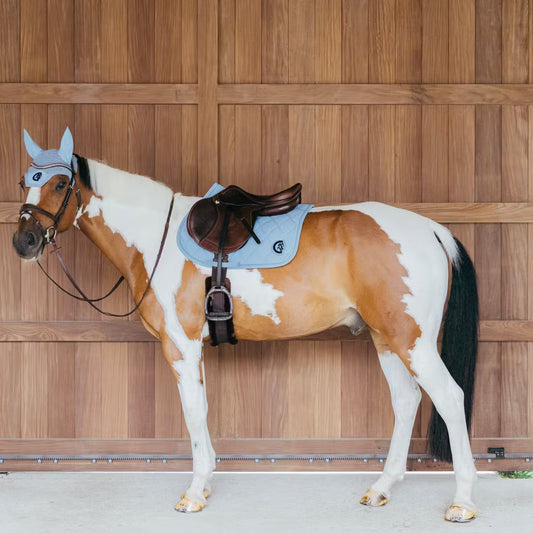 Horse with a saddle and bridle standing against a wooden wall.