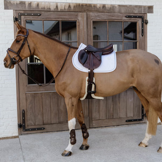 Brown horse with a saddle in front of wooden doors.