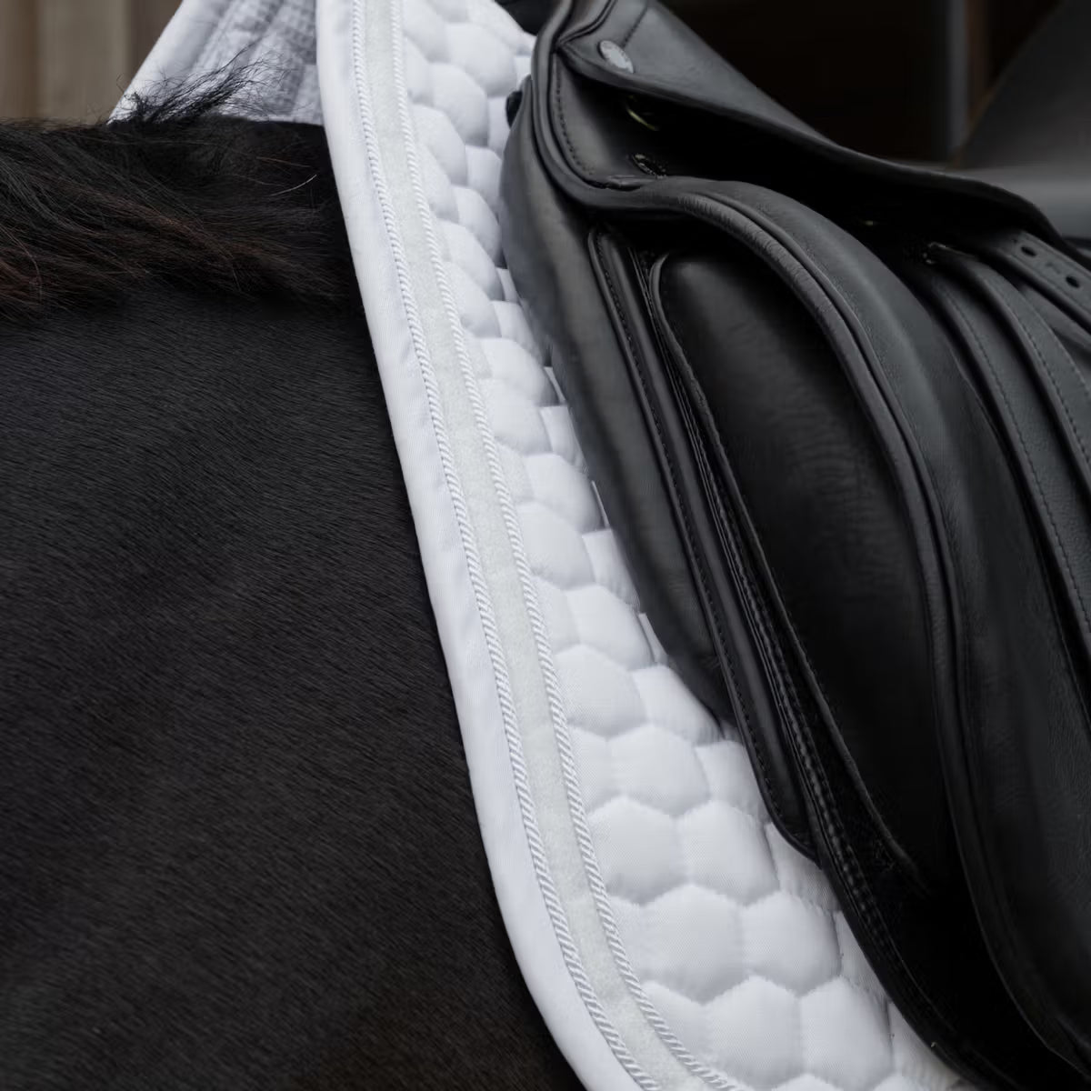 Glitter white dressage saddle pad detail on a horse