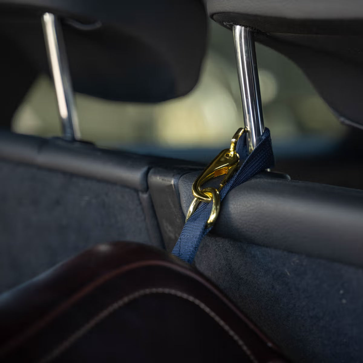 Saddle rack with blue strap and gold buckle inside a vehicle.