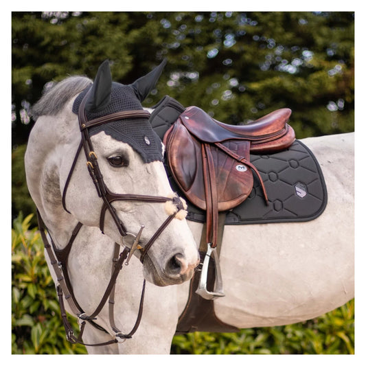 Horse wearing a bridle with a saddle on a natural background